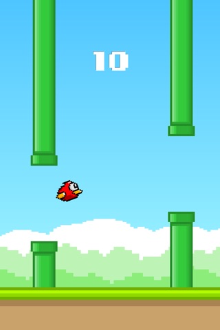 Bird Adventure screenshot 3