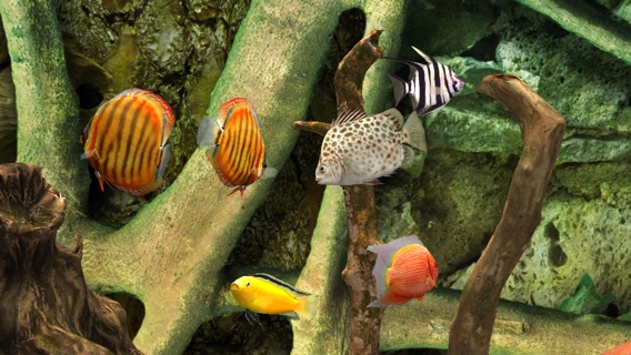 MyLake 3D Aquariumのおすすめ画像1