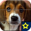 A Cute Puppy Puzzle Game Pro Version