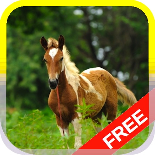 Little Pony Puzzle HD Icon