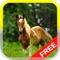 Little Pony Puzzle HD