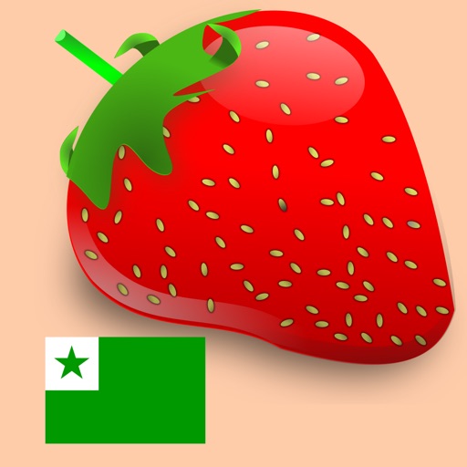 Kids Learn Esperanto Words iOS App