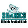 Hillside Football Club