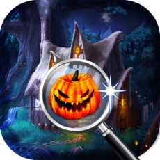 Activities of Mystery Forest Midnight: A Magical Kingdom of Hidden Object