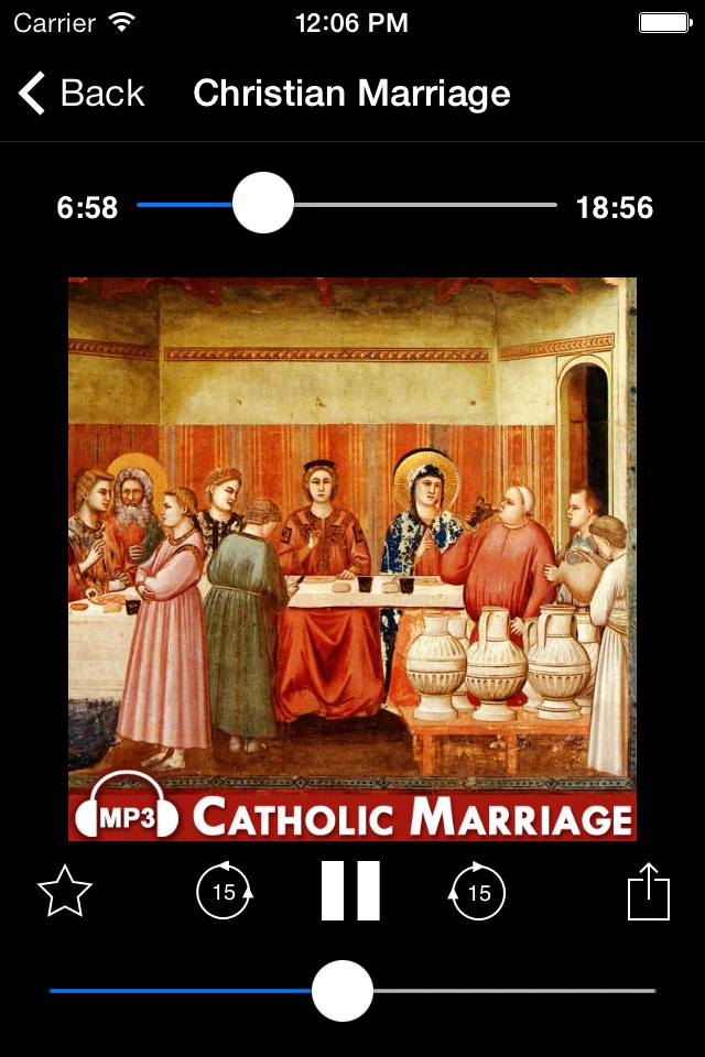 Audio Catholic Marriage screenshot 3