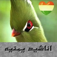 اناشيد يمنيه app icon - Music app for iPhone