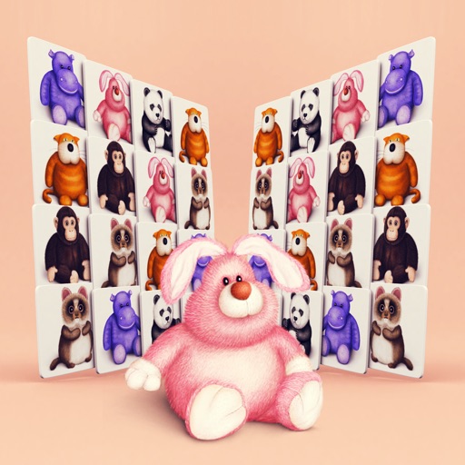 Rabbit in Mirror Land