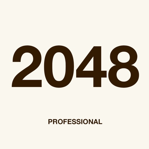 2048 Professional icon