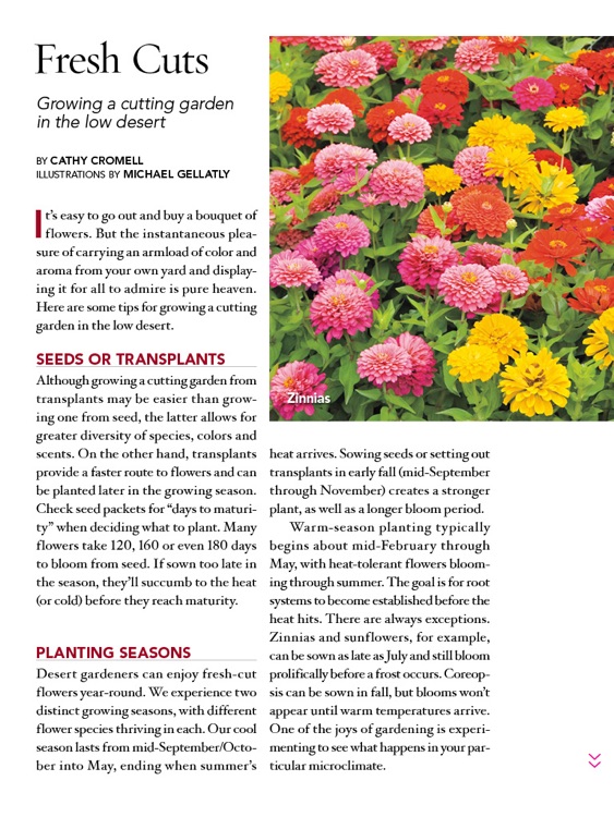 Phoenix Home & Garden 2015 Garden Guide