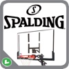 Spalding 66 Series
