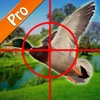 Duck Hunting pro free gamer for master hunters.