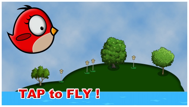 Bird Trouble