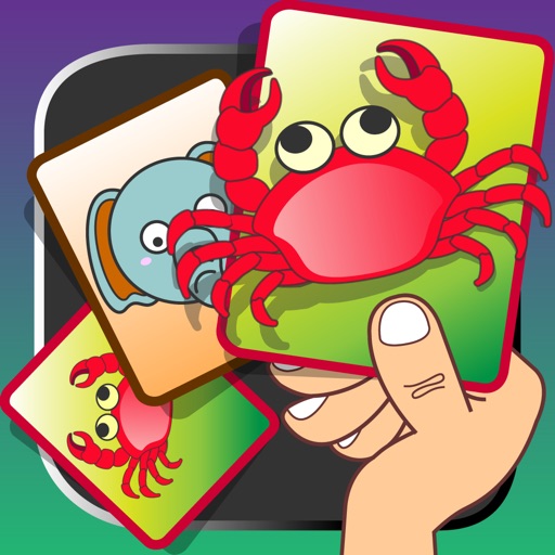 Matching Pairs Game iOS App