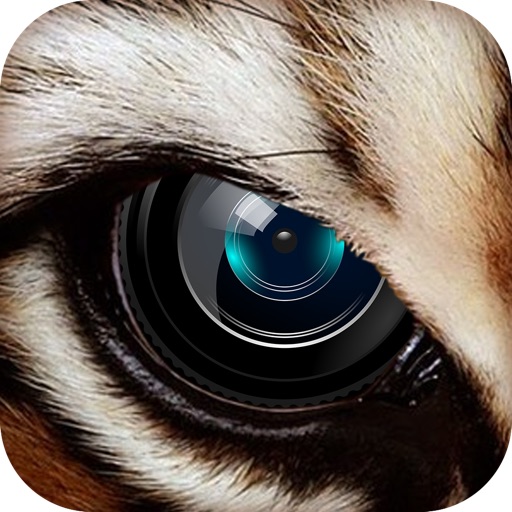 InstaAnimal-Animal Face Photo Editor for Instagram icon