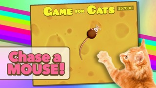 Game for Catsのおすすめ画像1