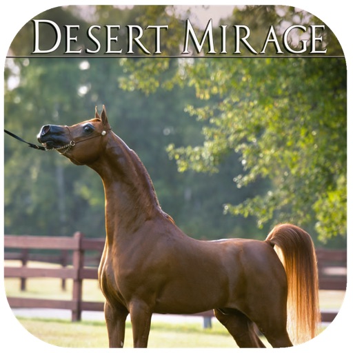 Arabian Horse Magazine