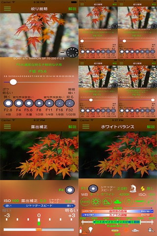 紅葉撮影 notepad screenshot 4