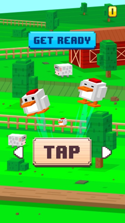 Sheep Squish Launch - Don’t Pop Them, but It Could Happen