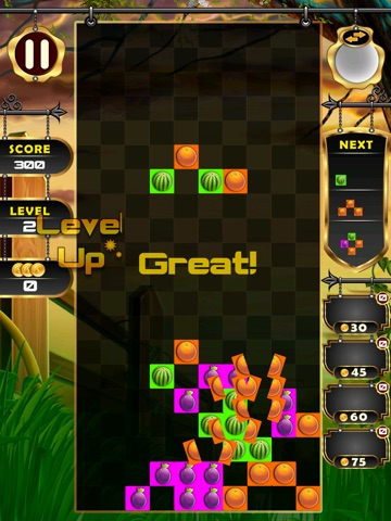 Fruit Chop - Cut The Falling Fruitris Blocks screenshot 3