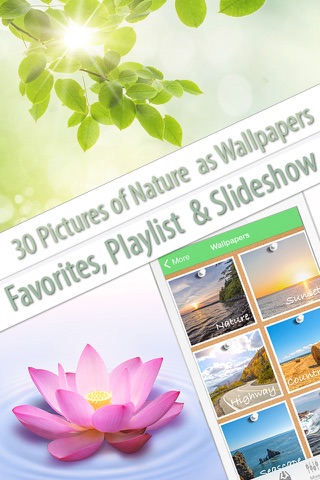 Nature Music (helps to relax, meditate, sleep, yoga and SPA) screenshot 3