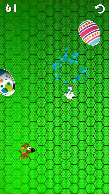 Surprise Eggs Animal