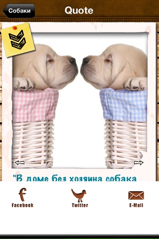 Dogs - Everything for Dog Lovers screenshot 4