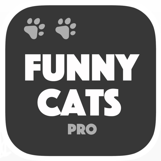 Cats are Funny - Vine & dubsmash gallery Pro
