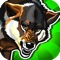 Wolf Rage Pro Game Full Version