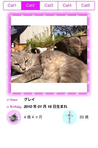 猫と同棲生活 screenshot 2