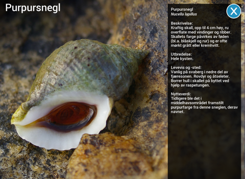 Screenshot #6 pour Strandkanten