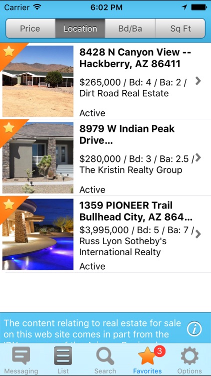 Agent View for Real Estate Professionals