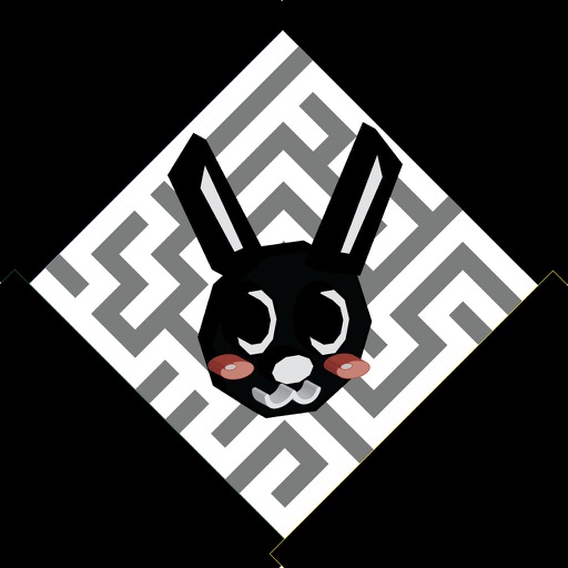 Black Rabbit Maze