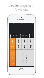 rhythm calculator - advanced rhythm trainer and metronome iphone screenshot 3