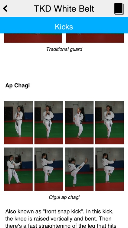 The Taekwondo White Belt