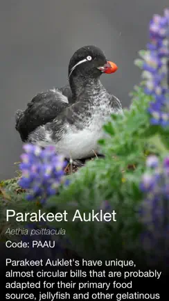Daily Bird - the beautiful bird a day calendar app iPhone image 3