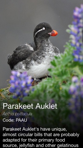 Daily Bird - the beautiful bird a day calendar appのおすすめ画像3