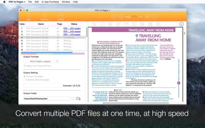 PDF to Pages + Screenshot