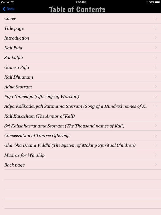 Kali Puja screenshot-3