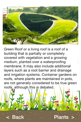 Green Roof screenshot 3