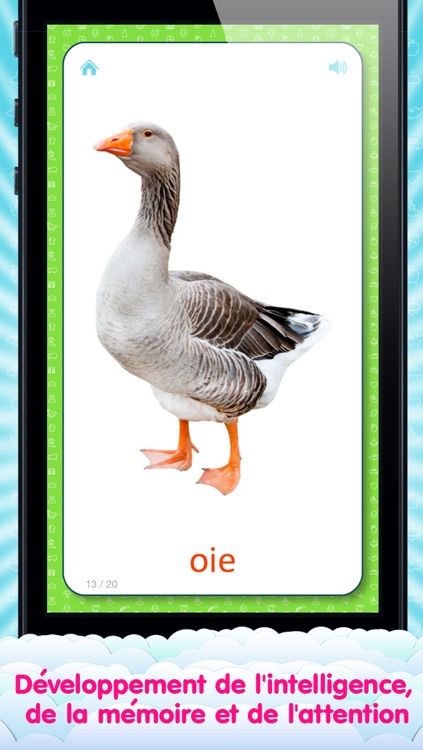 French Flashcards for Kids and logic game «Find a Picture» screenshot-3