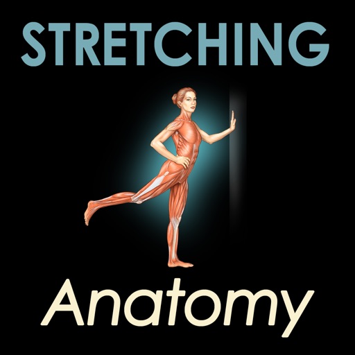 Stretching Anatomy