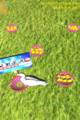 Lotto Island USA screenshot 3