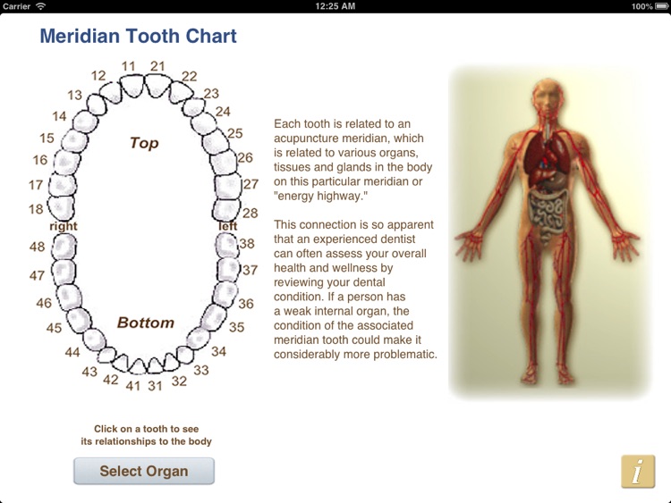 Meridian Tooth Chart - FDI
