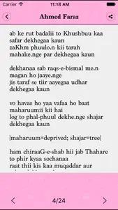 Hindi-Urdu Poetry screenshot #4 for iPhone