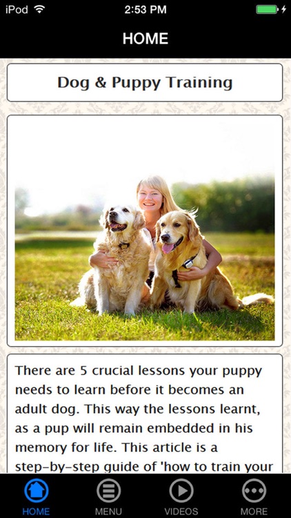 Best Dog & Puppy Training Made Easy Guide & Tips for Beginners