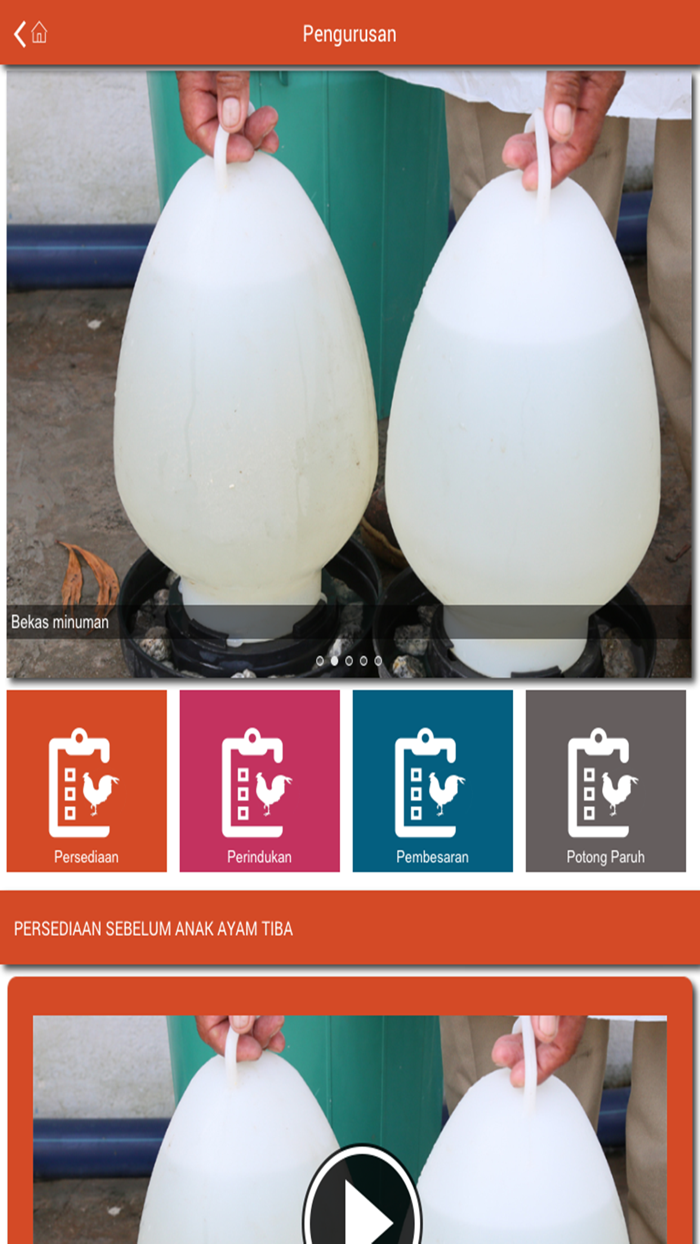 MARDI Penternakan Ayam Kampung