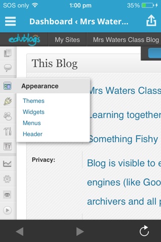 Edublogs screenshot 4