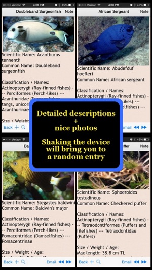 Marine Fish Bible+(圖2)-速報App