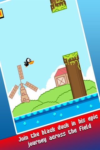 Black Duck Quack screenshot 2