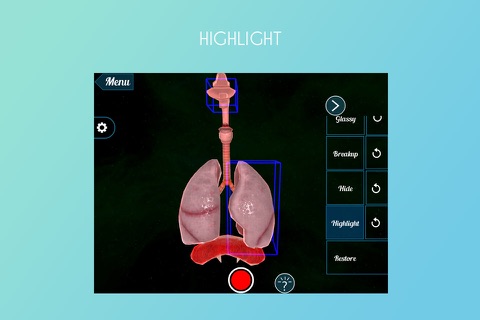 Virtual Reality(VR)Human Lungs screenshot 3